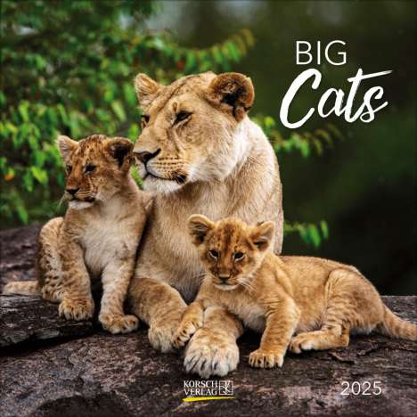 Big Cats 2025, Kalender