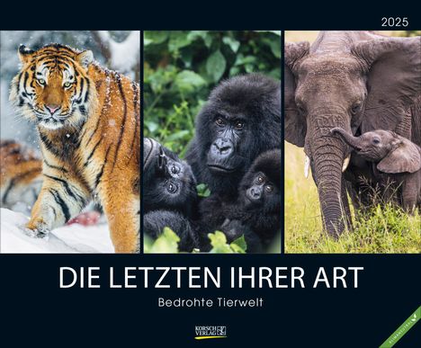 Bedrohte Tierwelt 2025, Kalender