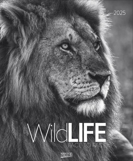 WildLife 2025, Kalender