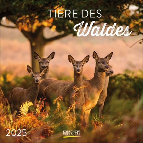 Tiere des Waldes 2025, Kalender