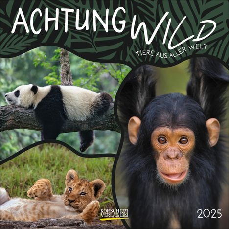 Achtung wild - Tiere aus aller Welt 2025, Kalender