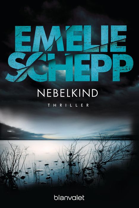 Emelie Schepp: Nebelkind, Buch