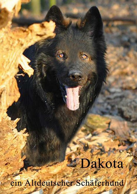 Karin Adamczyk: Dakota, Buch