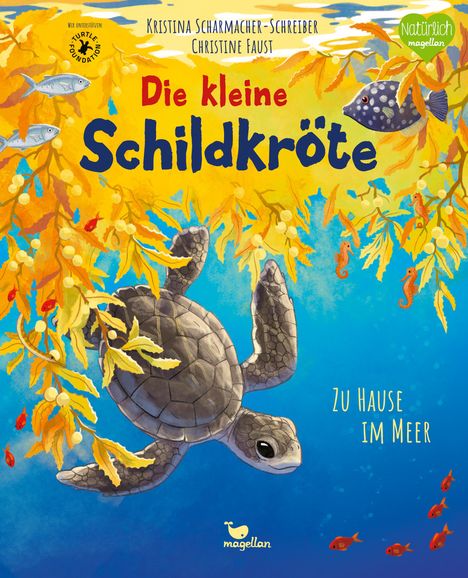 Kristina Scharmacher-Schreiber: Die kleine Schildkröte - Zu Hause im Meer, Buch