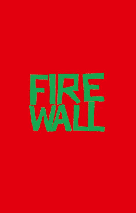 Erin Jade Lange: Firewall, Buch