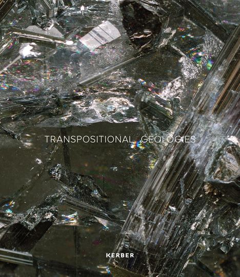 Transpositional Geologies, Buch