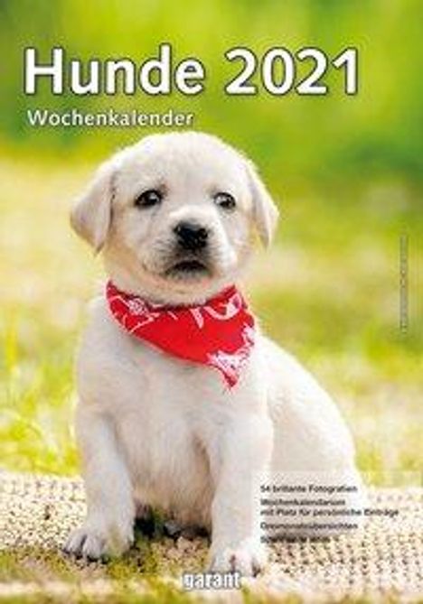Hunde 2021 Wochenkalender, Kalender