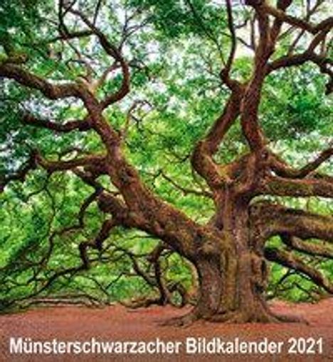 Münsterschwarzacher Bildkalender 2021, Kalender