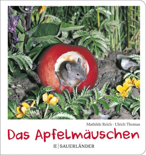 Mathilde Reich: Das Apfelmäuschen (Pappbilderbuch), Buch