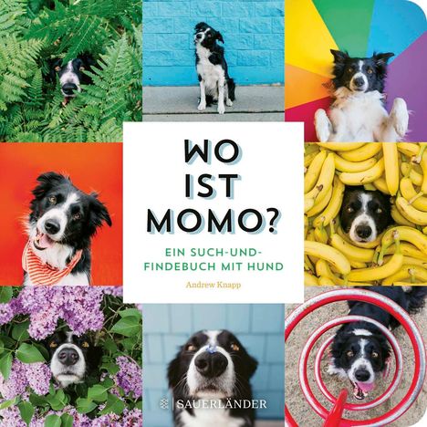 Andrew Knapp: Wo ist Momo?, Buch