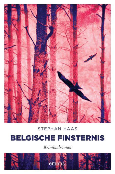 Stephan Haas: Belgische Finsternis, Buch