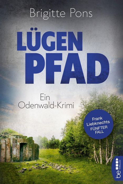 Brigitte Pons: Lügenpfad, Buch