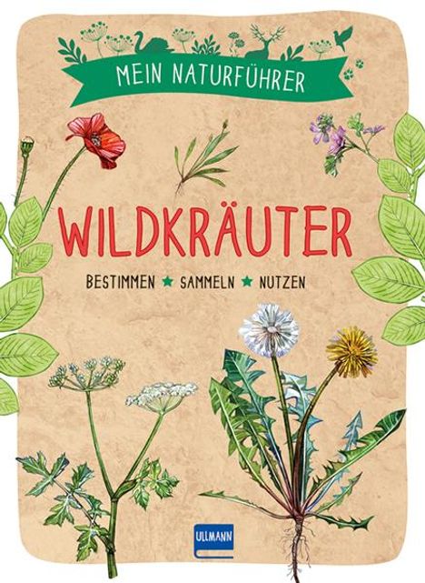 Francois Couplan: Mein Naturführer - Wildkräuter, Buch