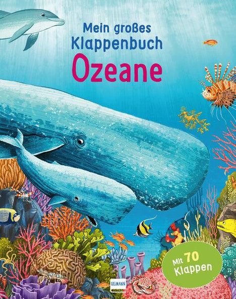 Anita Ganeri: Mein großes Klappenbuch - Ozeane, Buch