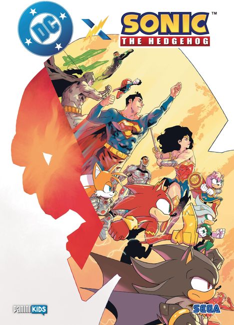 Ian Flynn: DC x Sonic The Hedgehog, Buch