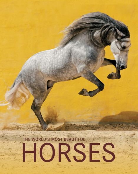 Gabriele Boiselle: Boiselle: World's Most Beautiful Horses/schönsten Pferde, Buch