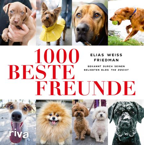 Elias Weiss Friedman: 1000 beste Freunde, Buch