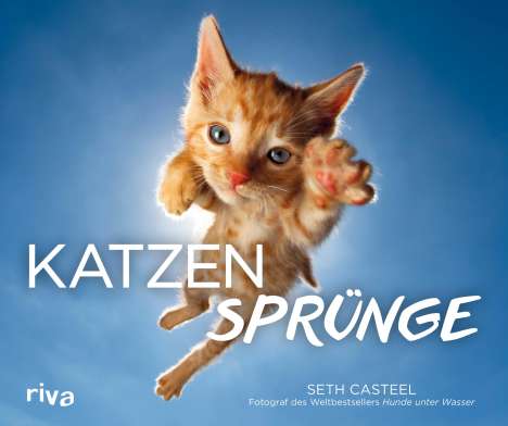 Seth Casteel: Katzensprünge, Buch