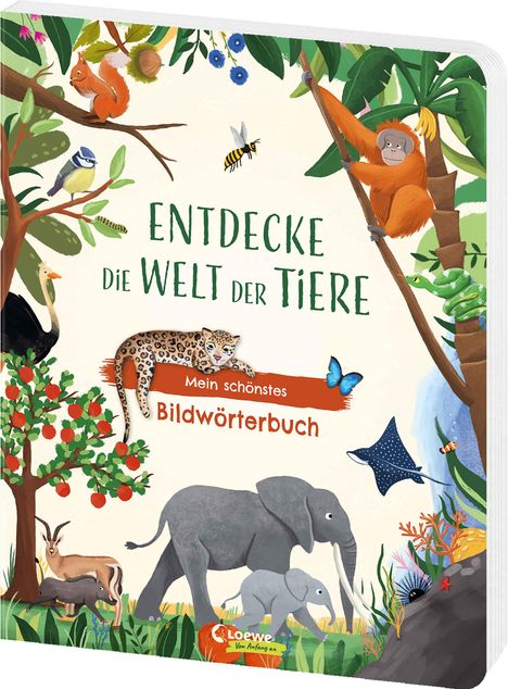 Entdecke die Welt der Tiere - Mein schönstes Bildwörterbuch, Buch