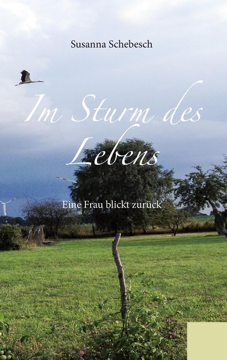 Susanna Schebesch: Im Sturm des Lebens, Buch