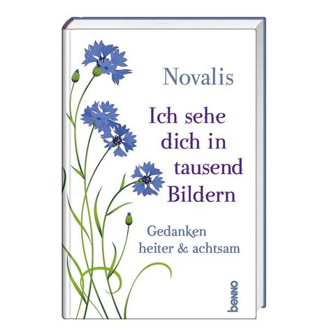 Novalis: Ich sehe dich in tausend Bildern, Buch