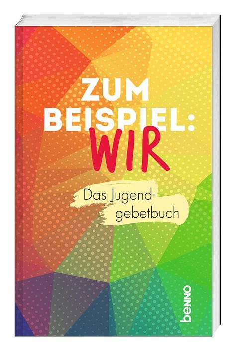 Guido Erbrich: Zum Beispiel: Wir, Buch