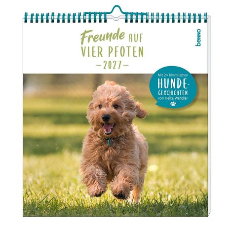 "Freunde auf vier Pfoten – 2027". Ein fröhlicher, lockiger Hund rennt über eine grüne Wiese.