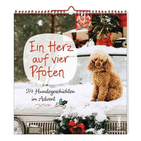 Ein Herz auf vier Pfoten. 24 Hundegeschichten im Advent. Pudel sitzt auf einem verschneiten Auto, umgeben von Geschenken.