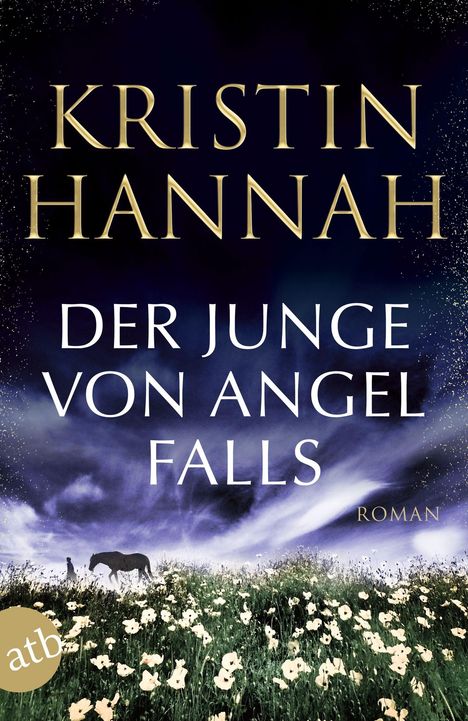 Kristin Hannah: Der Junge von Angel Falls, Buch