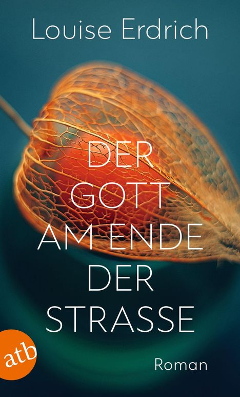 Louise Erdrich: Der Gott am Ende der Straße, Buch