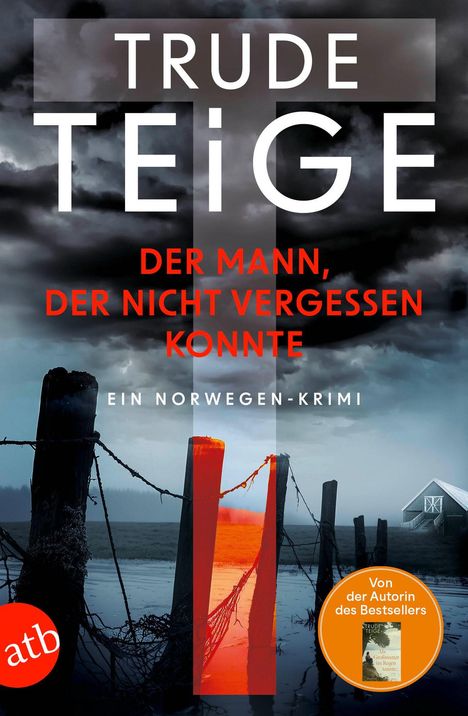 Trude Teige: Der Mann, der nicht vergessen konnte, Buch