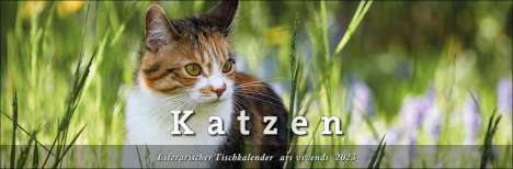 Ars Vivendi Verlag: Ars Vivendi Verlag: Tischkalender Katzen 2023, Kalender