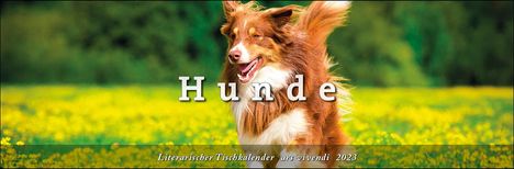 Ars Vivendi Verlag: Ars Vivendi Verlag: Tischkalender Hunde 2023, Kalender