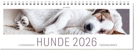 Vivendi Ars: Tischkalender Hunde 2026, Kalender