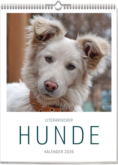 Vivendi Ars: Literarischer Hunde - Kalender 2026, Kalender