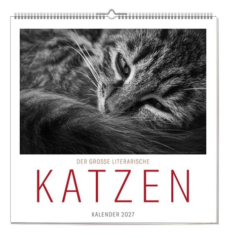 „Der große literarische Katzen Kalender 2027“. Nahaufnahme einer ruhenden Katze in Schwarz-Weiß.