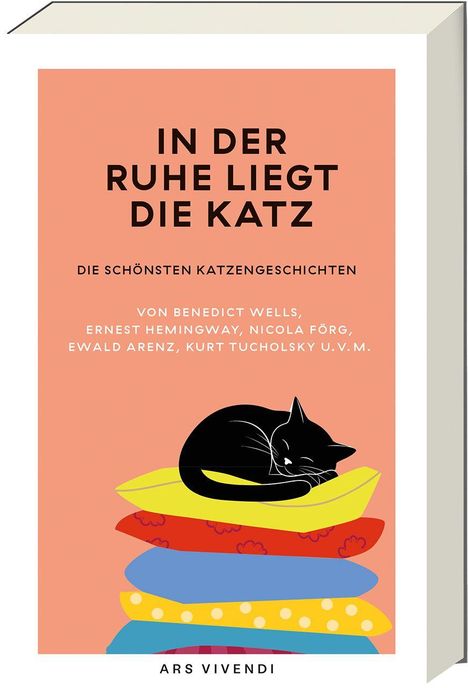 „IN DER RUHE LIEGT DIE KATZ“ steht auf einem orangefarbenen Hintergrund. Eine schwarze Katze schläft auf bunten Kissen.