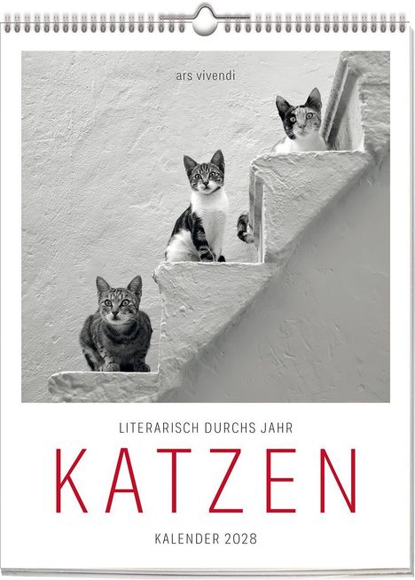 „Literarisch durchs Jahr. KATZEN. Kalender 2028.“ Drei Katzen sitzen auf weißen Stufen.
