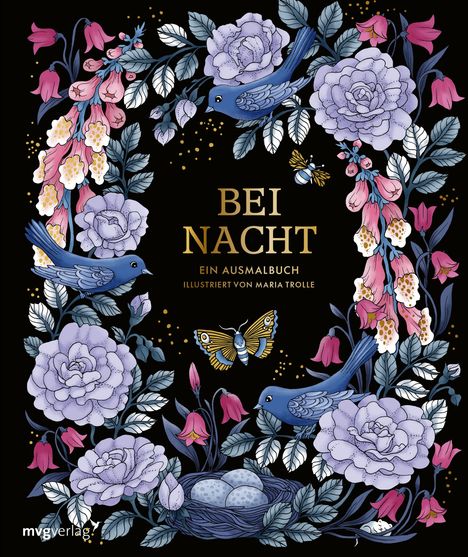 Bei Nacht - Ein Ausmalbuch, Buch