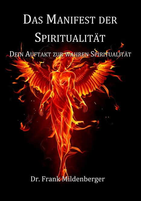 Frank Mildenberger: Mildenberger, F: Manifest der Spiritualität, Buch