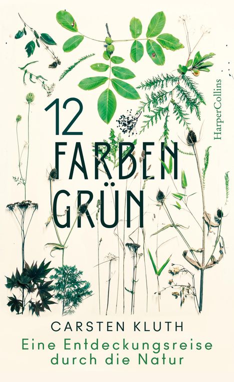 Carsten Kluth: 12 Farben Grün - Eine Entdeckungsreise durch die Natur, Buch