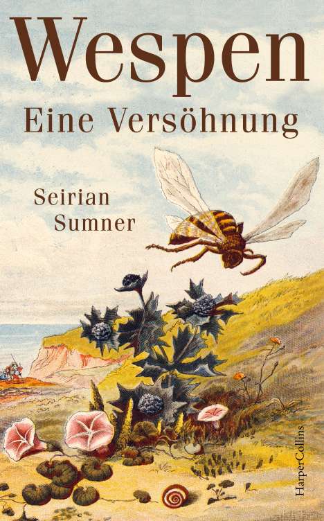 Seirian Sumner: Wespen - Eine Versöhnung, Buch