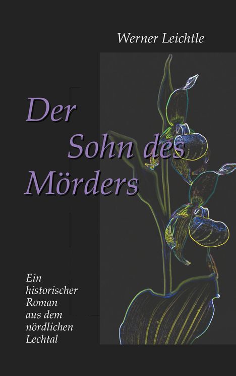 Werner Leichtle: Der Sohn des Mörders, Buch