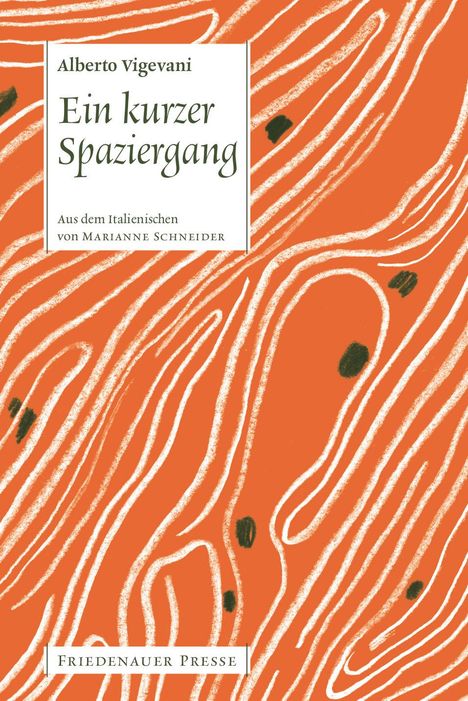 Alberto Vigevani: Ein kurzer Spaziergang, Buch