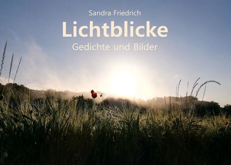 Sandra Friedrich: Lichtblicke, Buch