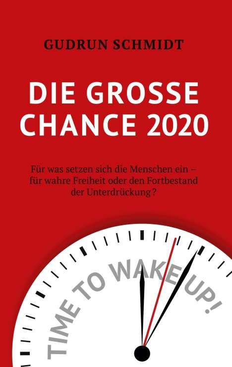 Gudrun Schmidt: Die große Chance 2020, Buch