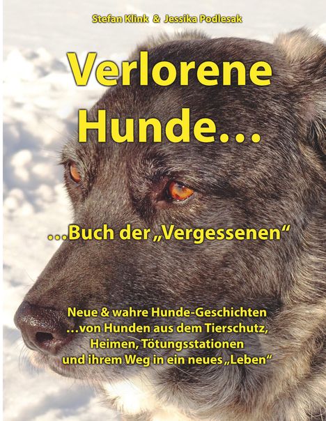 Stefan Klink: Klink, S: Verlorene Hunde...Buch der Vergessenen, Buch
