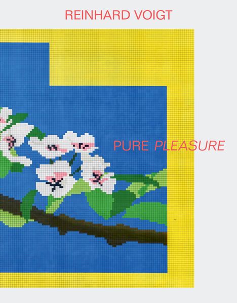 Susanne Neubauer: Reinhard Voigt. Pure Pleasure, Buch