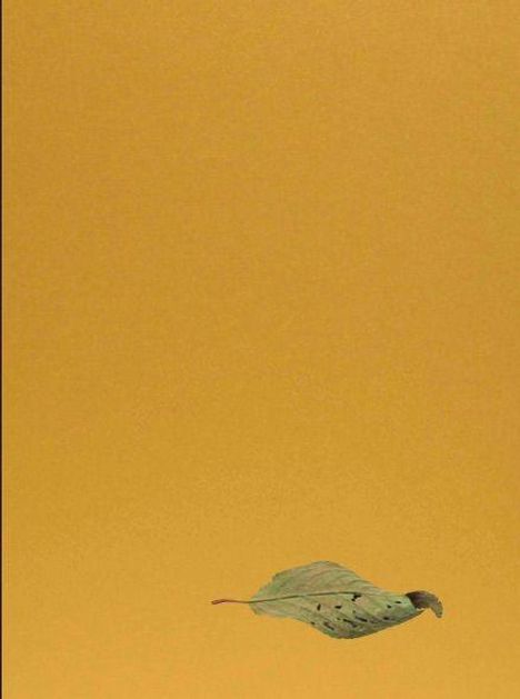 Kein Text. Ein einzelnes grünes Blatt schwebt vor einem gleichmäßigen goldenen Hintergrund.