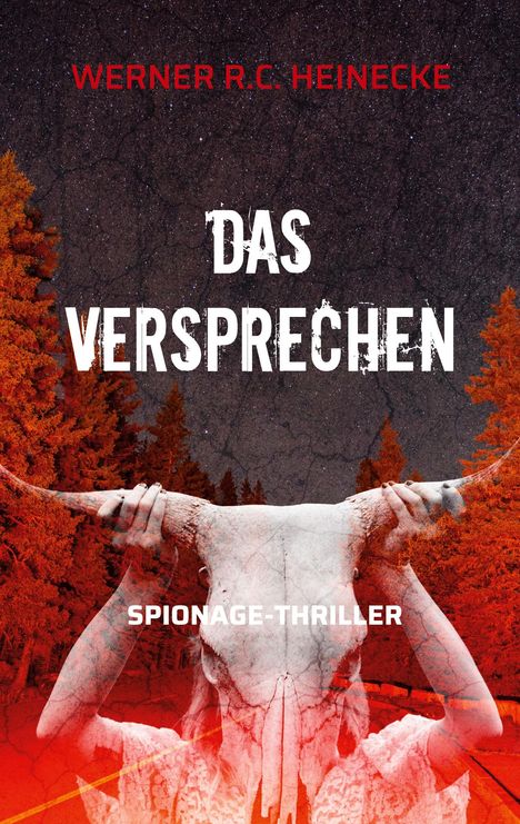 Werner R. C. Heinecke: Das Versprechen, Buch